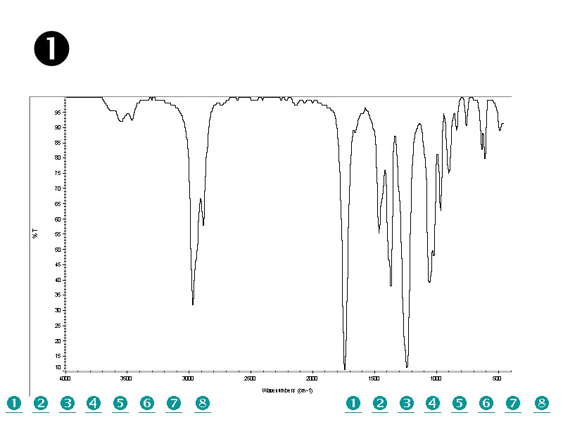              